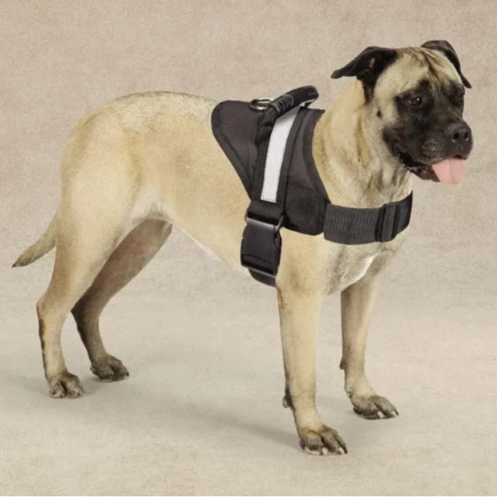 Guardian Gear “excursion harness” size large-NIB
